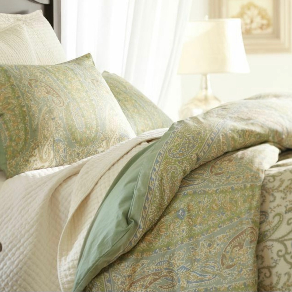 Like New Colette Pottery Barn king duvet and shams